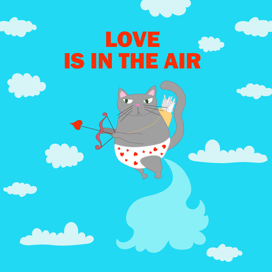 Love Is In The Air Funny Cupid Cat Valentine's Day Card
