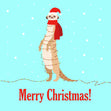 Merry Christmas Meerkat Tangled In Christmas Lights Card Season_Christmas Seo_Meerkat