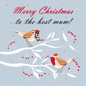 Merry Christmas The Best Mum Robins Sitting On Branches Card Season_Christmas Seo_Robin
