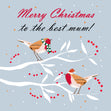 Merry Christmas The Best Mum Robins Sitting On Branches Card Season_Christmas Seo_Robin