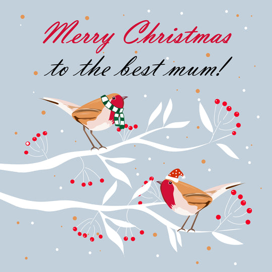 Merry Christmas The Best Mum Robins Sitting On Branches Card