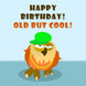 Old But Cool Owl Birthday Card