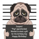 Suspected Pug Happy Birthday Card