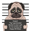 Suspected Pug Happy Birthday Card Seo_Pug