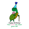 Happy Birthday Old Turtle Seo_Turtle
