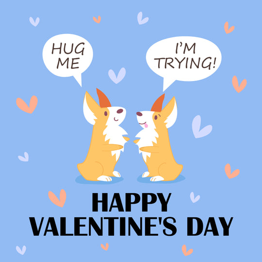 Cute Corgi Dogs Valentine's Card