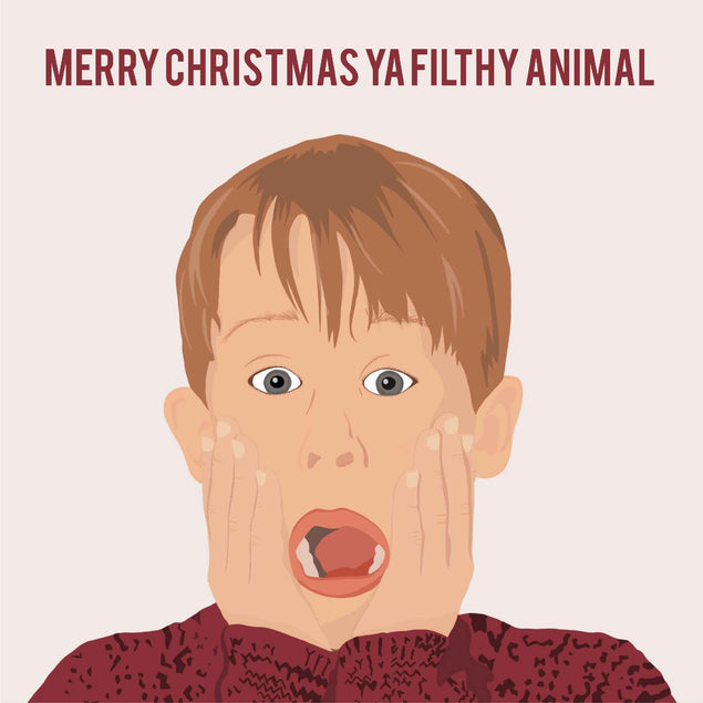 Kevin home alone - 1