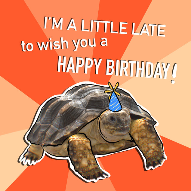 I Am A Little Late To Wish You A Happy Birthday Turtle | Boomf