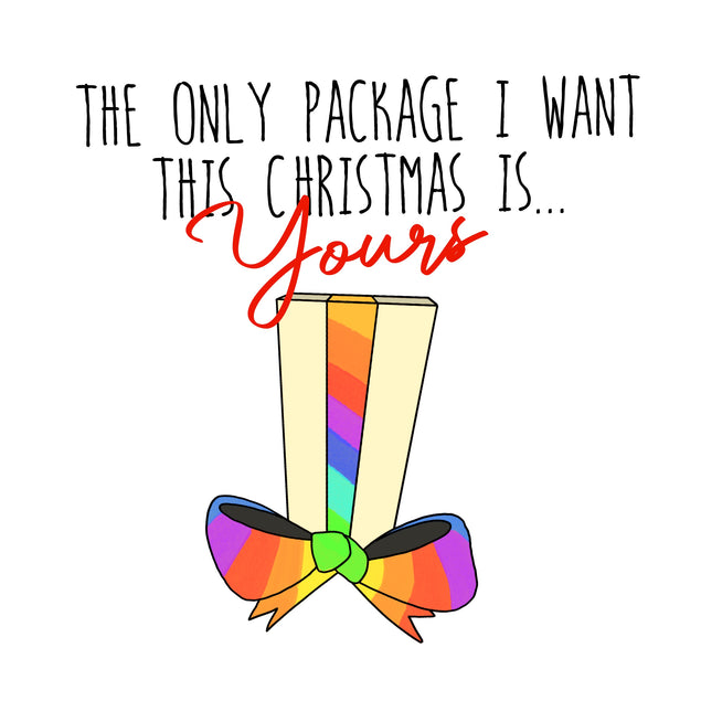 Merry Christmas The Only Package I Want Recipient_For Boyfriend Theme_LGBTQ