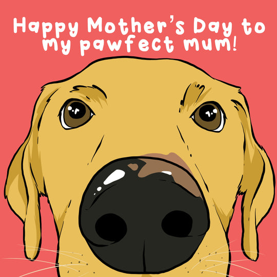 Happy Mother's Day For My Pawfect Mum Card