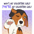 Who Is My Valentine Girl? Cute Beagle Valentine's Day Card Season_Valentine’s Day Theme_Dog Style_Funny