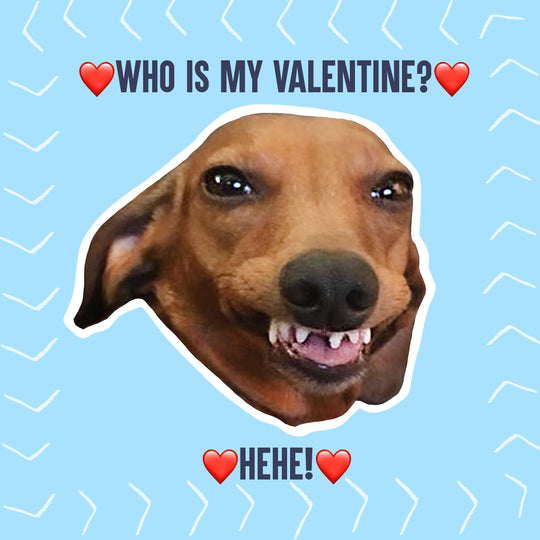 Who Is My Valentine? Funny Dog Meme Valentine's Day Card