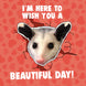 I'm Here To Wish You A Beautiful Day Possum Valentine's Day Card