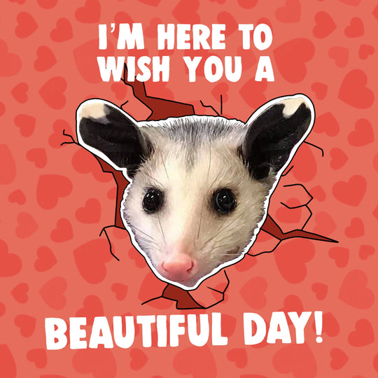 I'm Here To Wish You A Beautiful Day Possum Valentine's Day Card