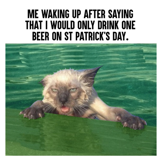 Cat Meme St. Patrick's Day Card