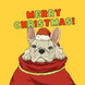French Bulldog In A Bag Merry Christmas Card