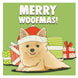 Merry Woofmas Chihuahua Card