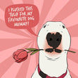 To My Favourite Dod Mummy Bull Terrier And A Tulip Mother's Day Card Season_Mother’s Day, Sender_From Dog, Seo_For Dog Mum