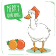 Merry Quackmas Duck Wearing Santa Hat Card Season_Christmas Seo_Duck