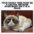 Grumpy Cat Meme Happy Birthday Prick Card Seo_Prick