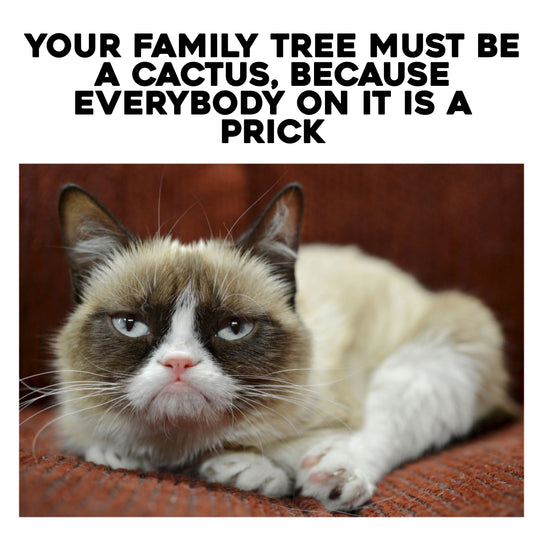 Grumpy Cat Meme Happy Birthday Prick Card