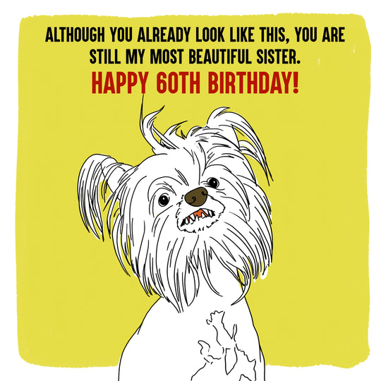 Funny Dog Happy 60th Birthday Sister Card