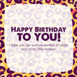 Cheetah Print Happy Birthday Sister-In-Law Card Recipient_For Sister-in-law