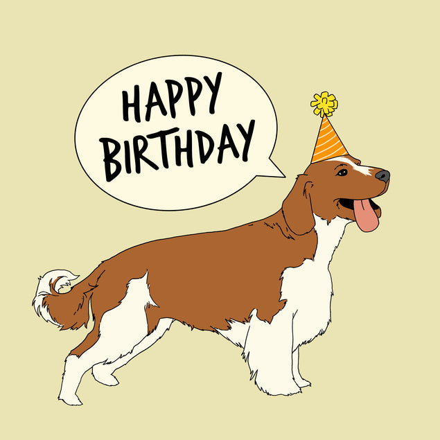 Springer Spaniel Happy Birthday Card Seo_Springer Spaniel