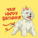 Festive Westie Happy Birthday Card