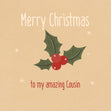 Mistletoe Merry Christmas To My Amazing Cousin