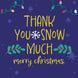 Merry Christmas Thank You So Much Christmas Lights And Plants Card