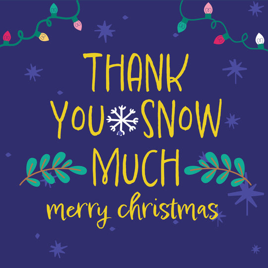 Merry Christmas Thank You So Much Christmas Lights And Plants Card