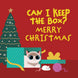 Merry Christmas Can A Keep The Box? Ragdoll Cat Card