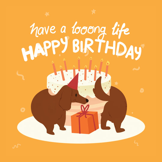 Dachshund And The Cake Birthday Card