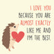 I Love You Because You Are Almost Exactly Like Me Cute Hedgehog Valentine's Day Card