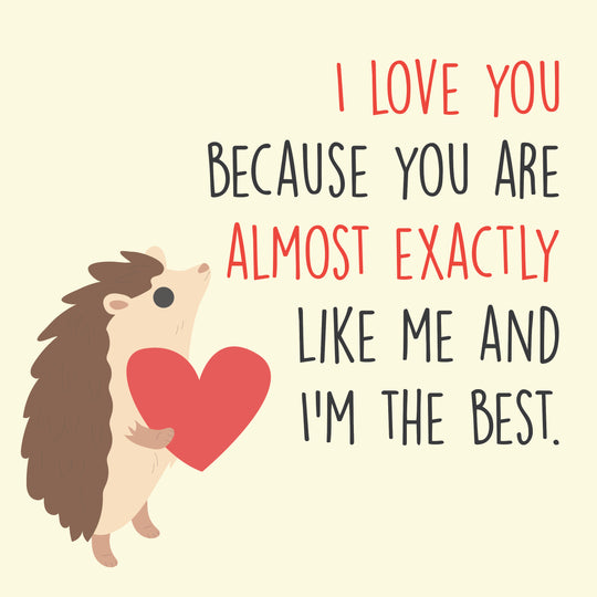 I Love You Because You Are Almost Exactly Like Me Cute Hedgehog Valentine's Day Card