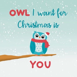 Owl I Want For Christmas Card