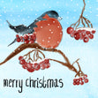 Watercolour Bird Merry Christmas Card Seo_Watercolour