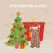 Waiting For Santa Border Terrier Christmas Card