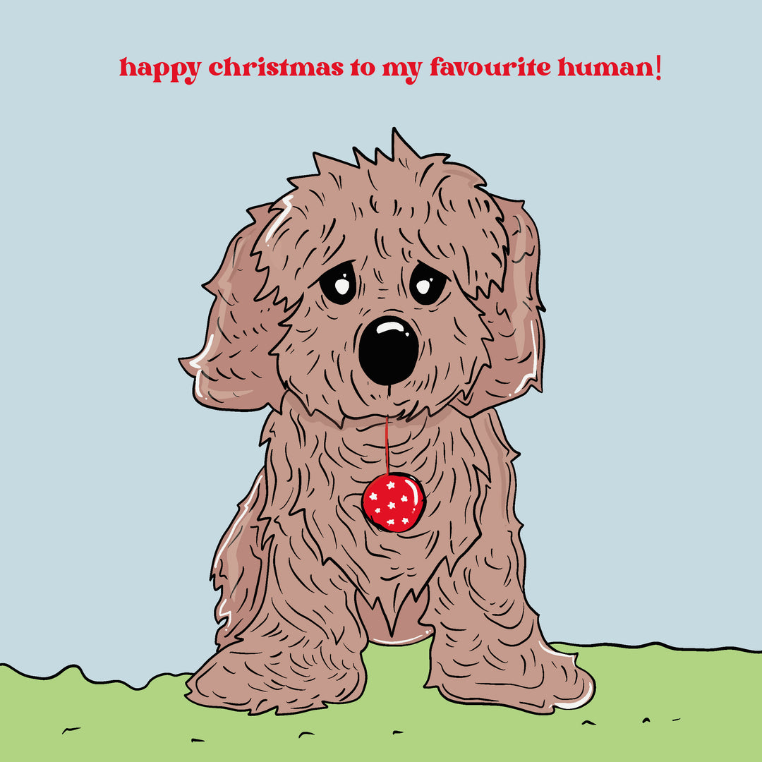 Cavapoo Christmas Greeting Cards - Boomf