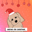 Waiting For Christmas Adorable Cavapoo Card Season_Christmas Seo_Cavapoo