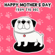 Happy Mother's Day From The Dog Red Card Season_Mother’s Day, Seo_From The Pet