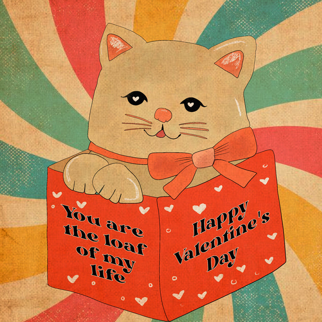 Happy Valentine's Day Cute Cat In A Box Card Season_Valentine's Day Style_Vintage