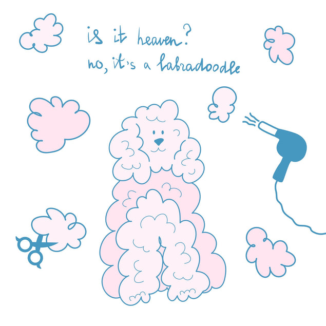 Is It Heaven? Labradoodle Card