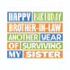 Another Year Of Surviving My Sister Brother-in-law Birthday Card