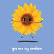 You Are My Sunshine Card