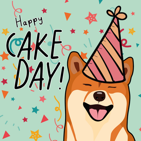 Shiba Inu Birthday Card