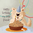 Cockapoo Happy Birthday My Little Friend