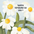 Daisies Happy Birthday Card Seo_Daisy