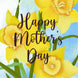 Yellow Daffodils Happy Mother's Day Card